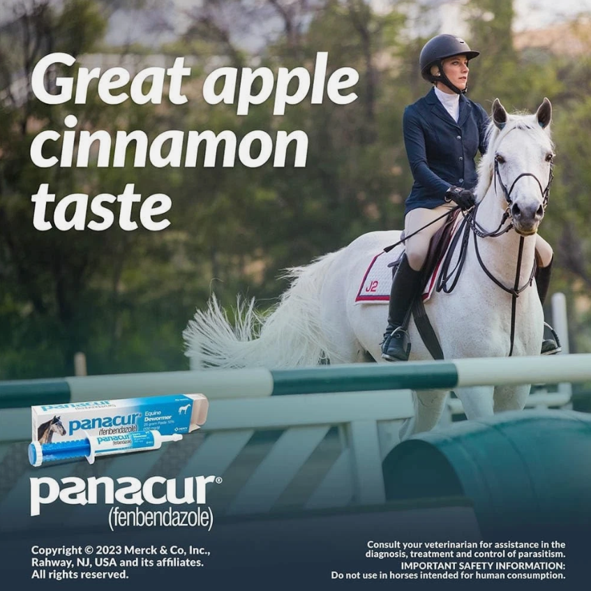 Panacur Dewormer Horse Paste 10%, 100mg (2-Pack)