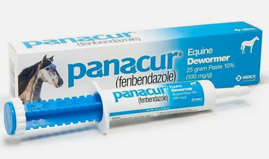 Panacur Dewormer Horse Paste 10%, 100mg (Single)