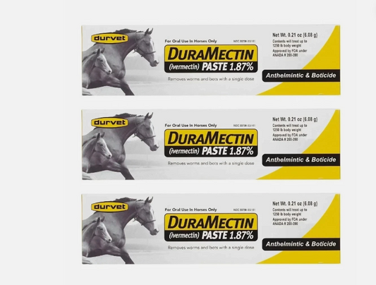 Dewormer Horse Paste 10%, 100mg Each (3 Pack)