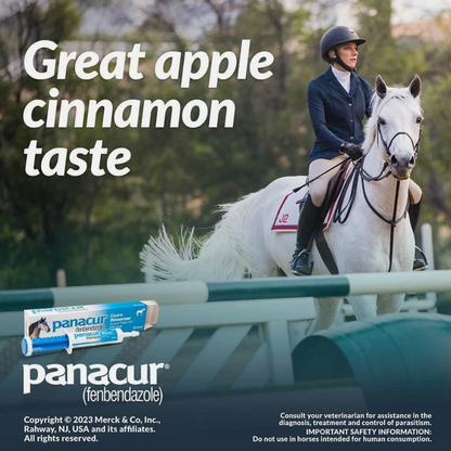 Panacur Dewormer Horse Paste 10%, 100mg (2-Pack)