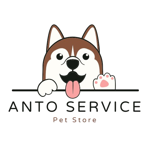 Anto Service LLC