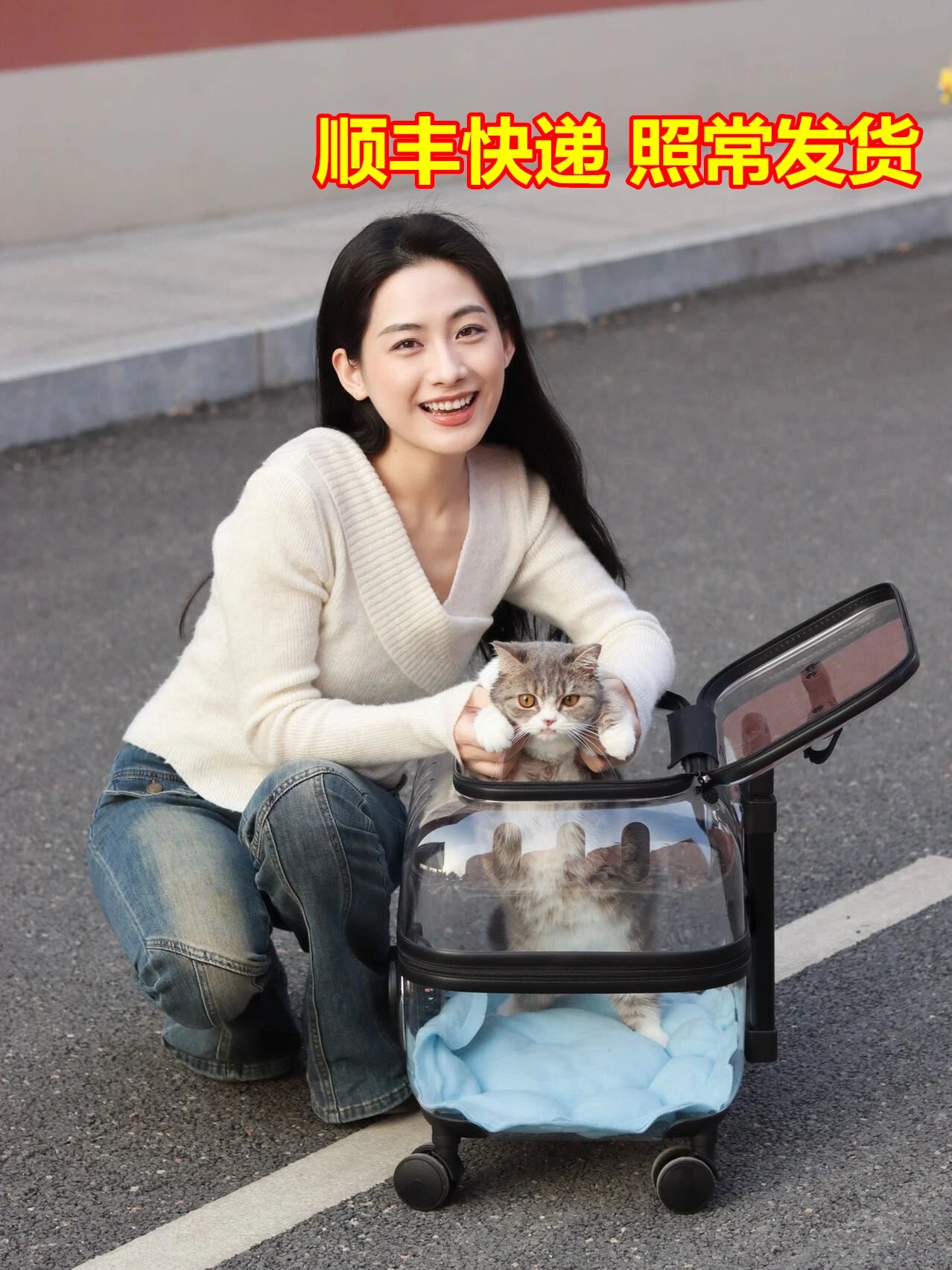 Pet cart trolley case cat bag for going out for cats and dogs small pet carrying schoolbag for cats going out suitcase