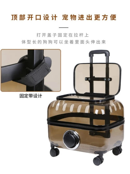 Pet cart trolley case cat bag for going out for cats and dogs small pet carrying schoolbag for cats going out suitcase