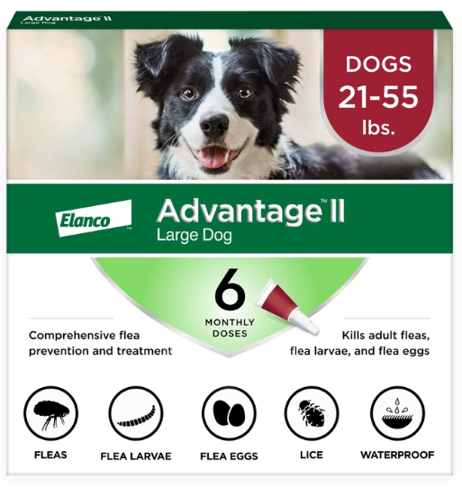 Advantage II for Large Dogs 21-55 lbs